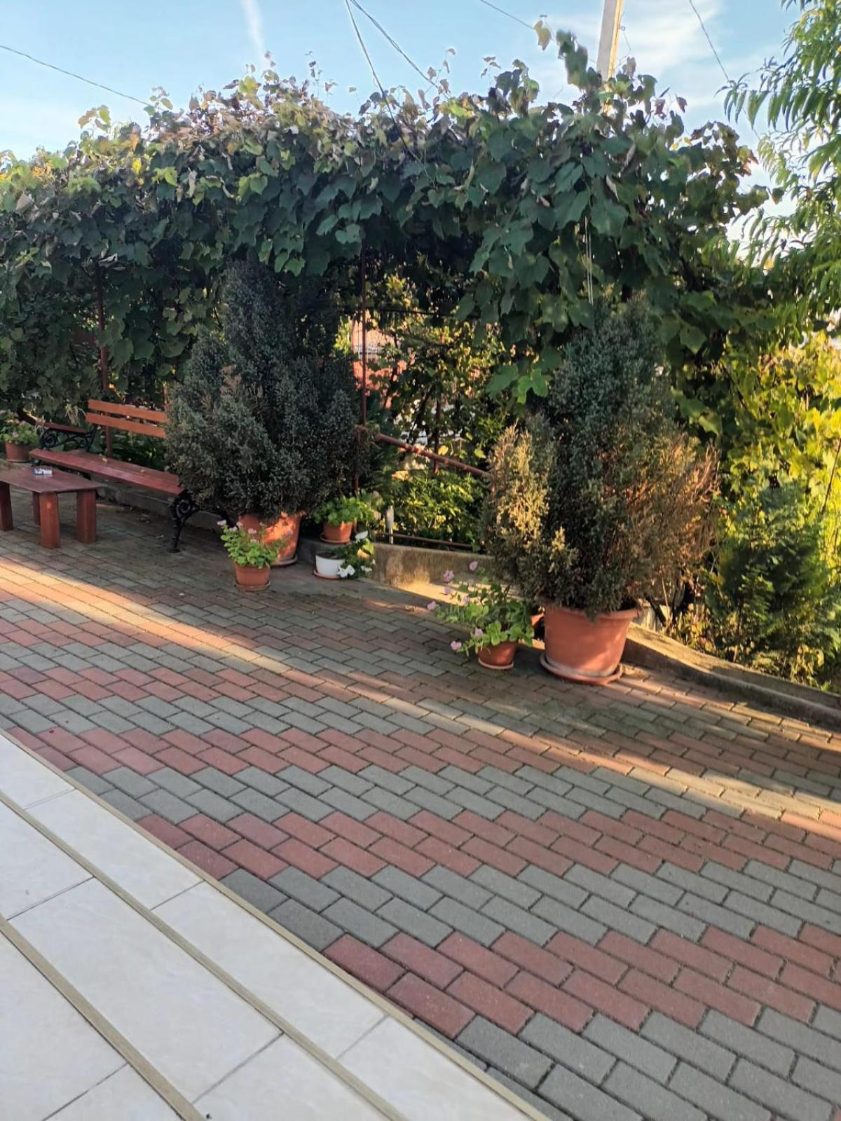 Casa Matei Villa Turda Luaran gambar