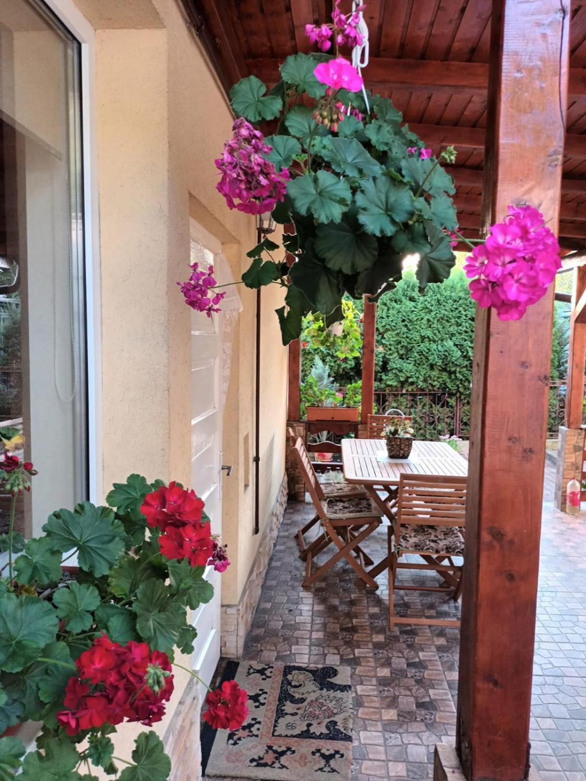 Casa Matei Villa Turda Luaran gambar